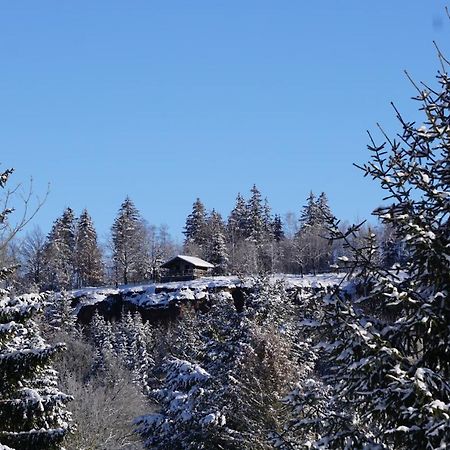 Wanderlust - Thueringer Wald, Rennsteig, Finsterbergen Apartment Friedrichroda Ngoại thất bức ảnh